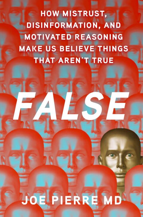 Cover image for book False