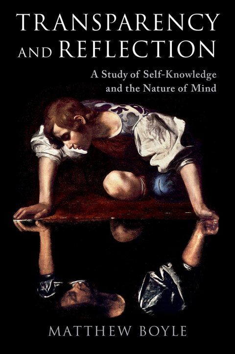 Cover image for book Transparency and Reflection