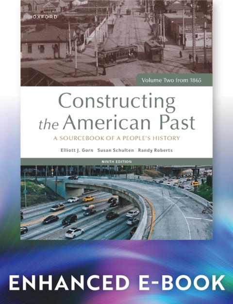 Cover image for book Constructing the American Past