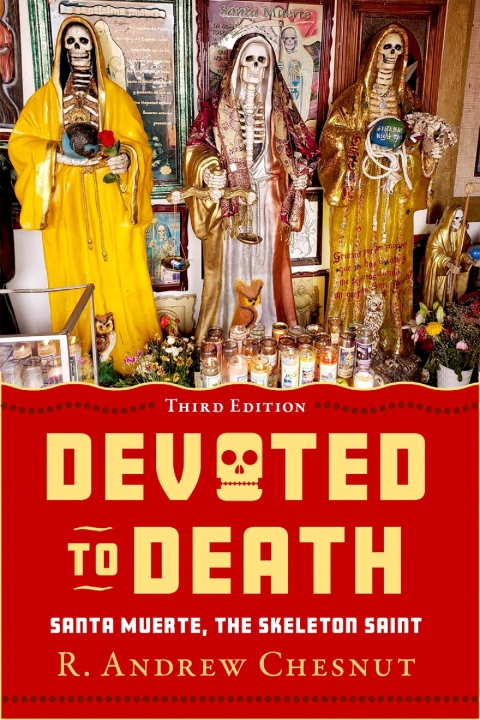 Cover image for book Devoted to Death