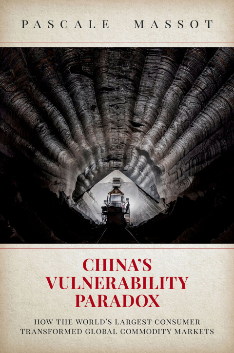 Cover image for book China's Vulnerability Paradox