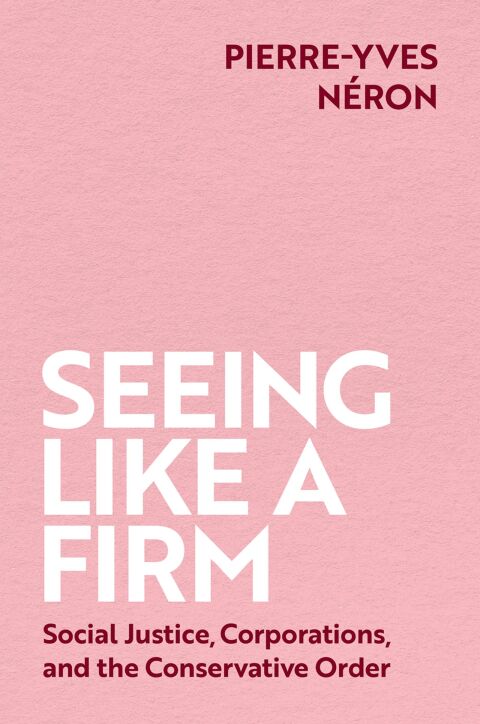 Cover image for book Seeing Like a Firm