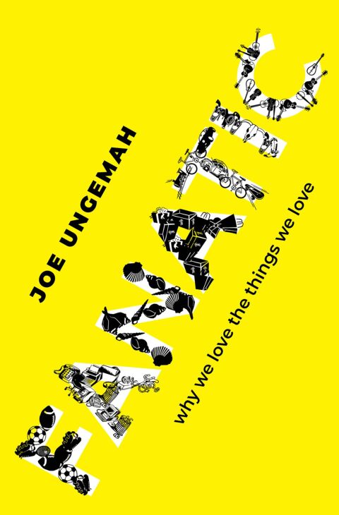 Cover image for book Fanatic