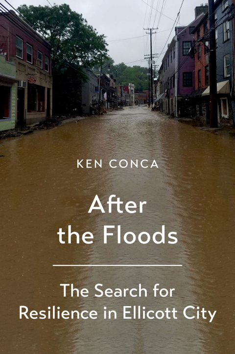 Cover image for book After the Floods