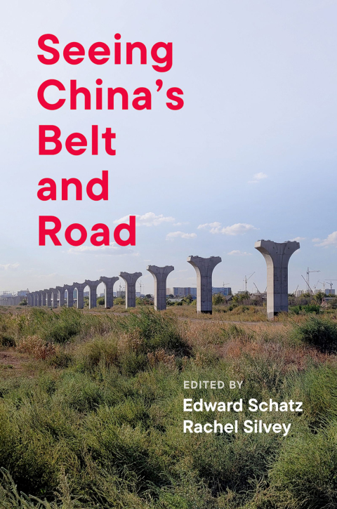 Cover image for book Seeing China's Belt and Road