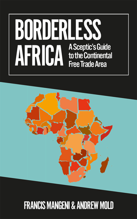 Cover image for book Borderless Africa