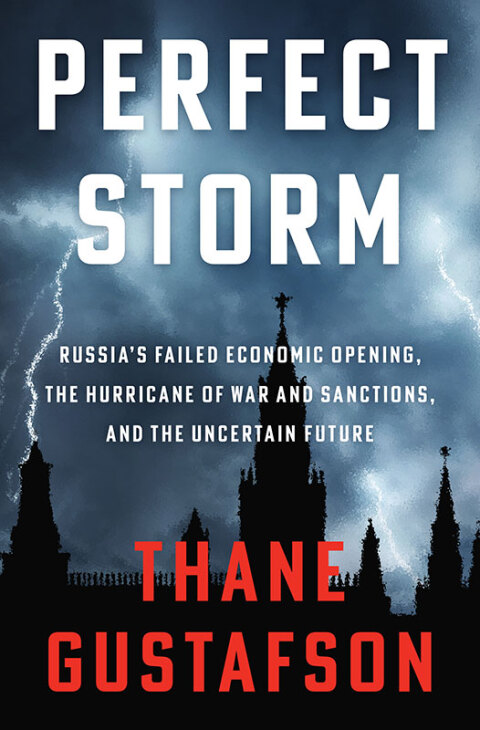 Cover image for book Perfect Storm