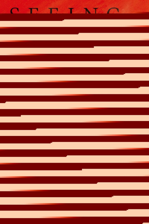 Cover image for book Seeing Atrocities