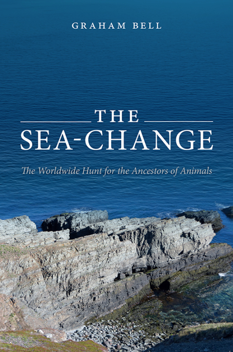Cover image for book The Sea-Change