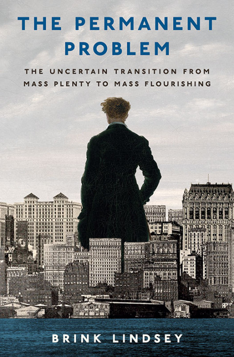 Cover image for book The Permanent Problem