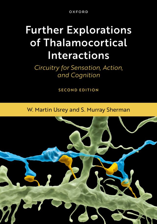 Further Explorations of Thalamocortical Interactions
