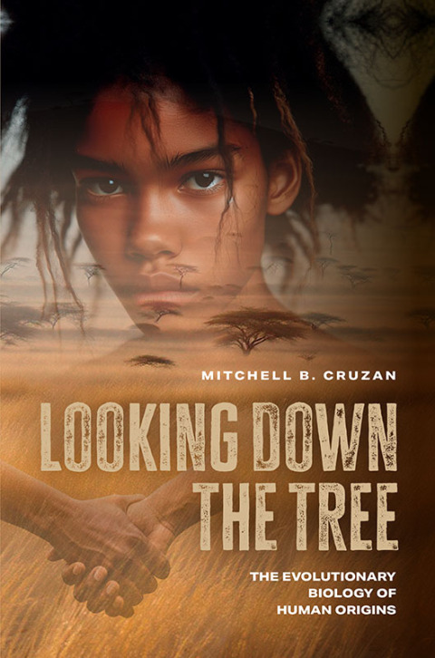 Cover image for book Looking Down the Tree