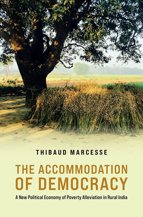 Cover image for book The Accommodation of Democracy