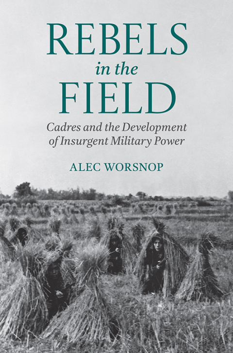 Cover image for book Rebels in the Field