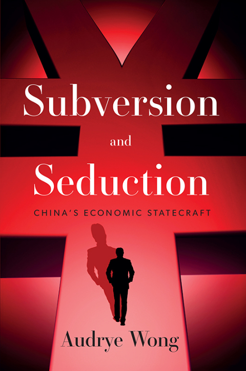 Cover image for book Subversion and Seduction