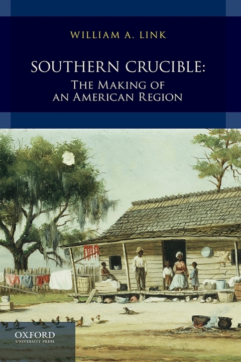 Cover image for book Southern Crucible