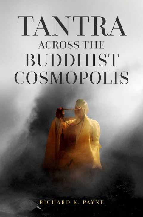 Cover image for book Tantra Across the Buddhist Cosmopolis