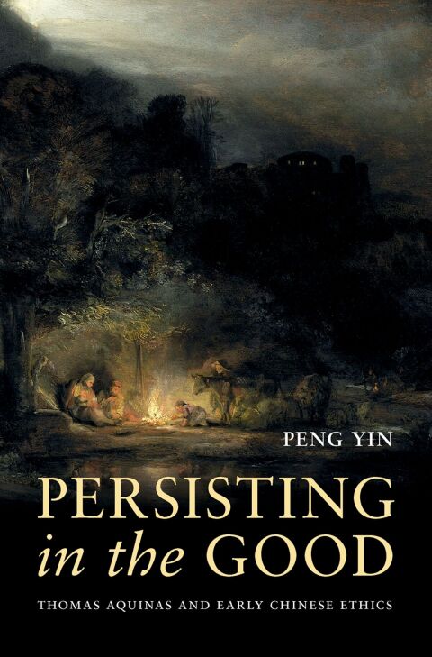 Cover image for book Persisting in the Good