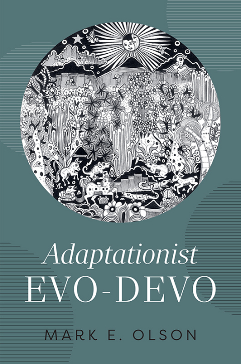 Cover image for book Adaptationist Evo-Devo