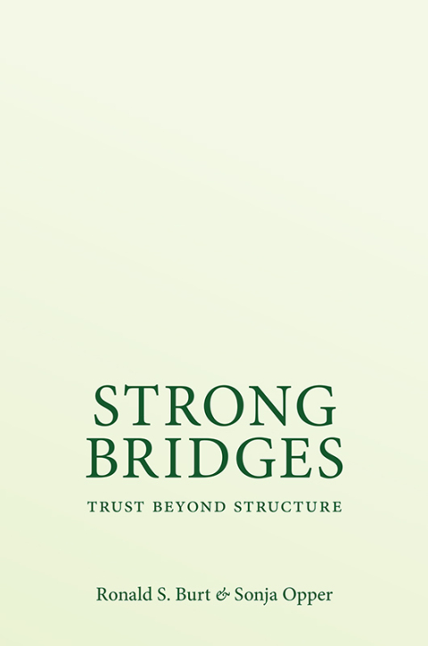 Cover image for book Strong Bridges