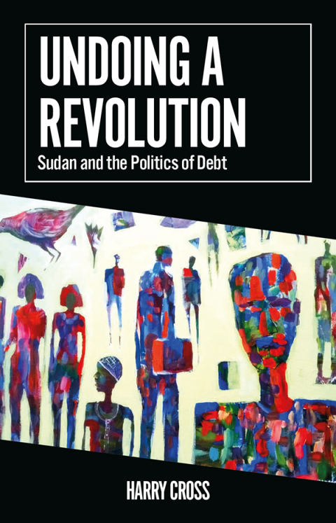 Cover image for book Undoing a Revolution