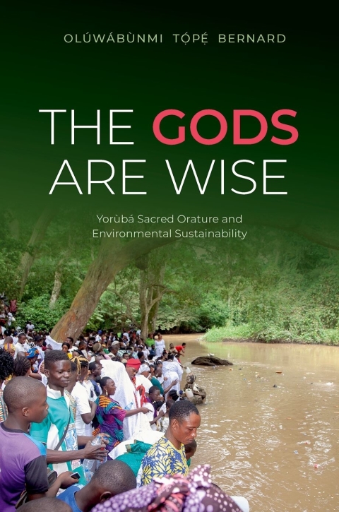 Cover image for book The Gods Are Wise