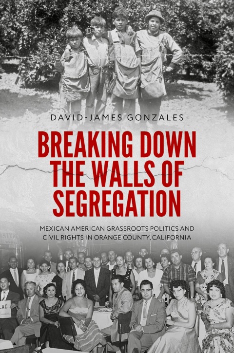 Cover image for book Breaking Down the Walls of Segregation