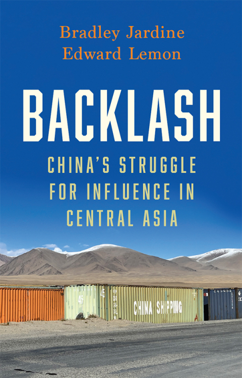 Cover image for book Backlash