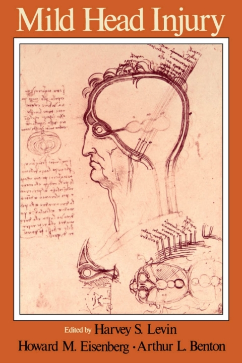 Cover image for book Mild Head Injury