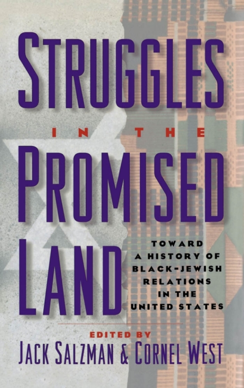 Cover image for book Struggles in the Promised Land