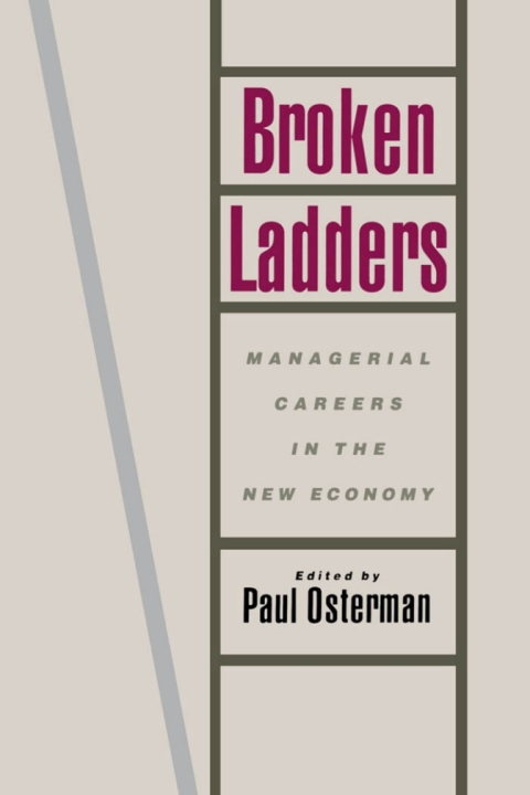 Cover image for book Broken Ladders
