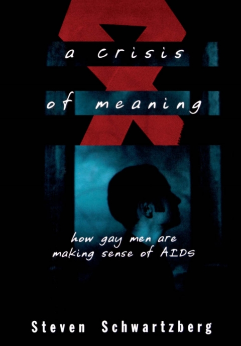 Cover image for book A Crisis of Meaning