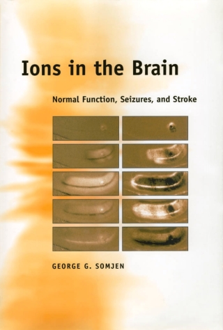 Ions in the Brain
