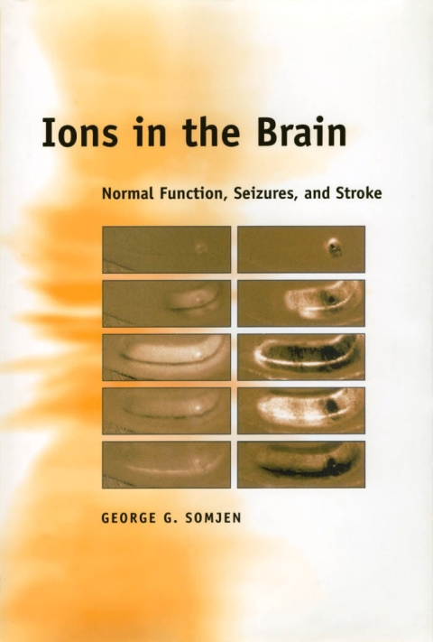 Cover image for book Ions in the Brain