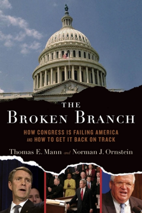Cover image for book The Broken Branch