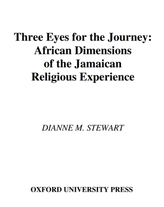 Three Eyes for the Journey