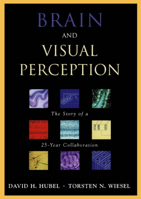 Cover image for book Brain and Visual Perception