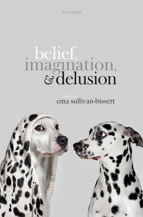 Cover image for book Belief, Imagination, and Delusion