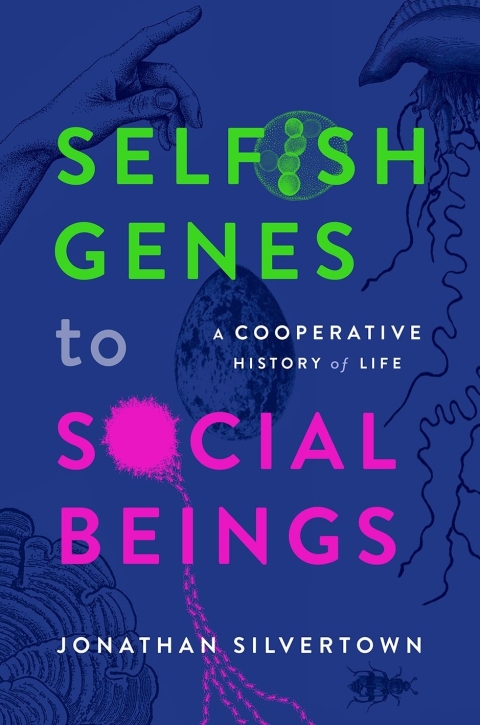 Cover image for book Selfish Genes to Social Beings