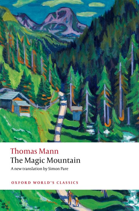 Cover image for book The Magic Mountain