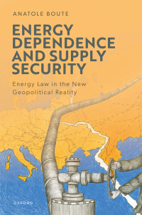 صورة الغلاف: Energy Dependence and Supply Security 1st edition 9780198890478