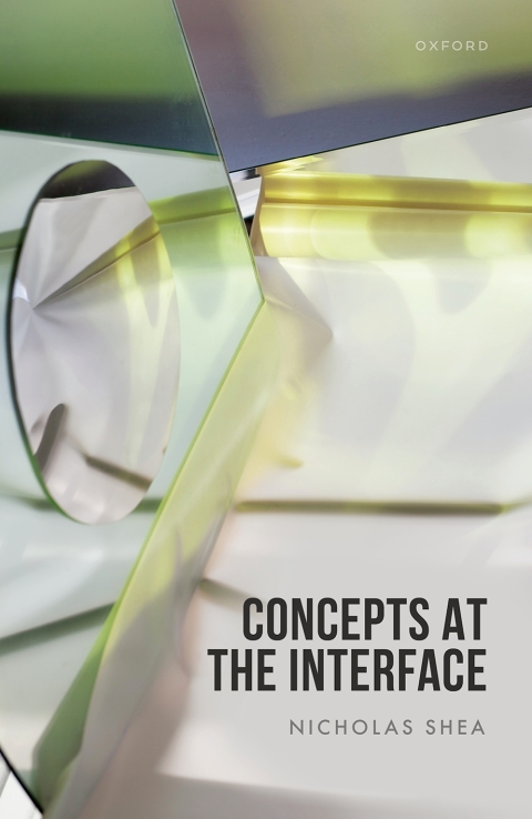 Cover image for book Concepts at the Interface