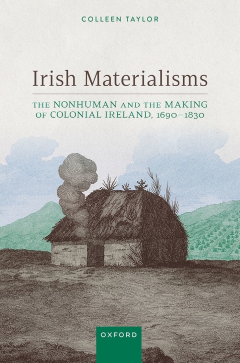 Cover image for book Irish Materialisms
