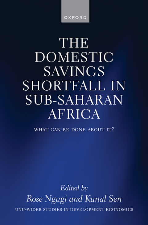 Cover image for book The Domestic Savings Shortfall in Sub-Saharan Africa