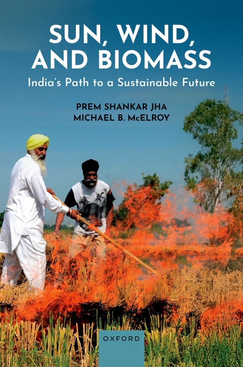 Cover image for book Sun, Wind, and Biomass
