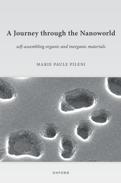 Cover image for book A Journey through the Nanoworld