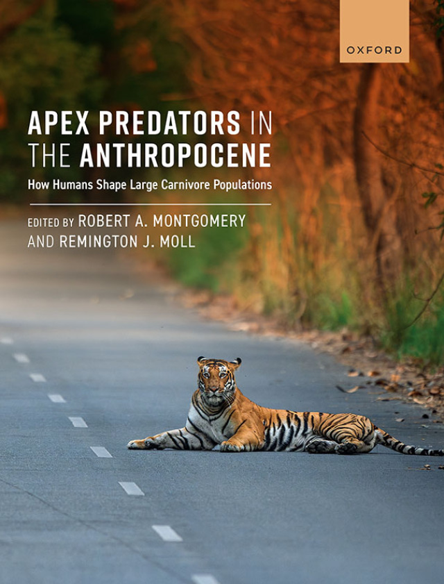 Apex Predators in the Anthropocene