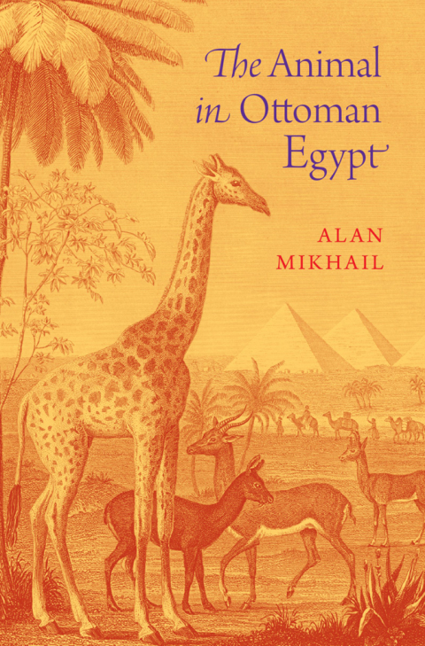 Cover image for book The Animal in Ottoman Egypt
