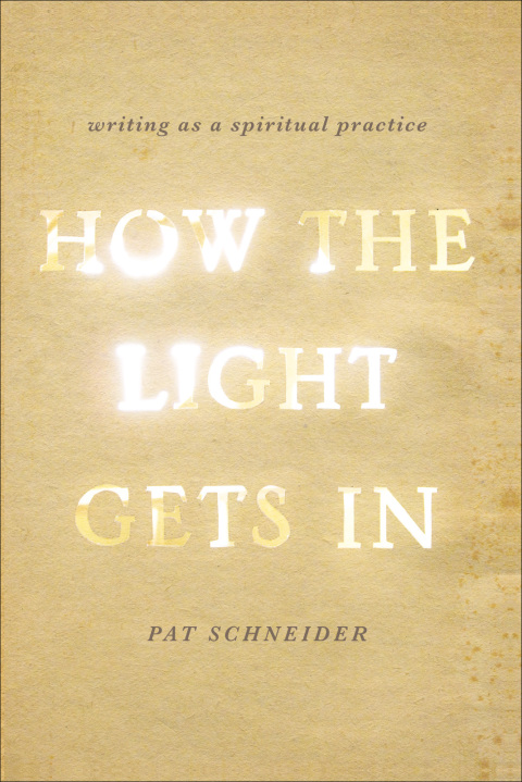Cover image for book How the Light Gets In