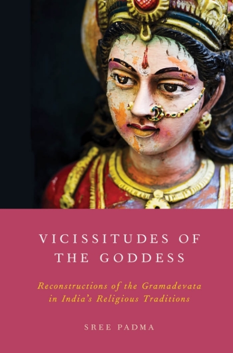 Cover image for book Vicissitudes of the Goddess